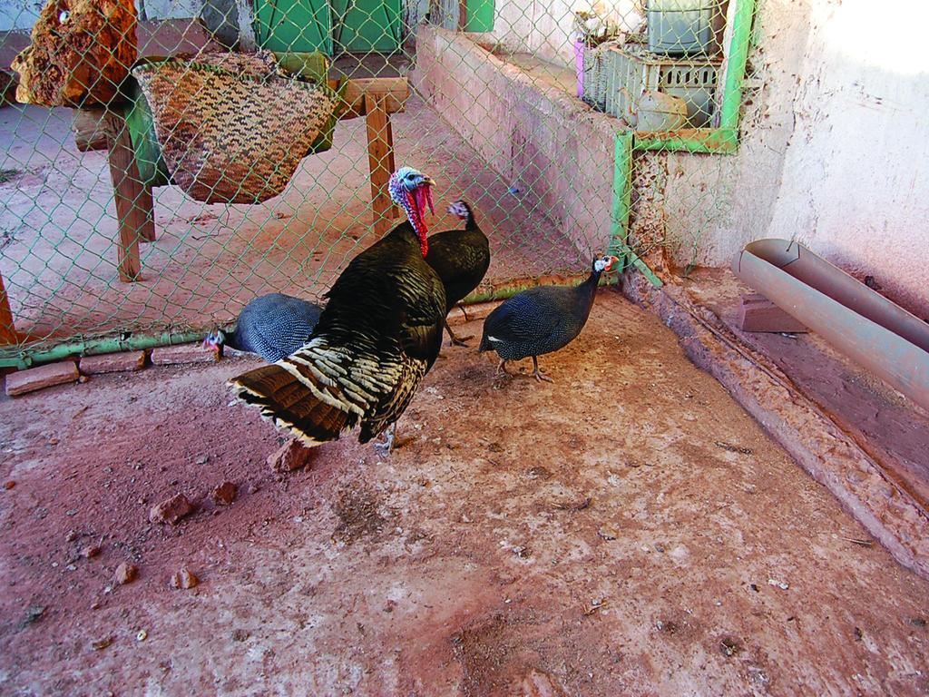 Gite Souss Oulad Teïma Exteriér fotografie