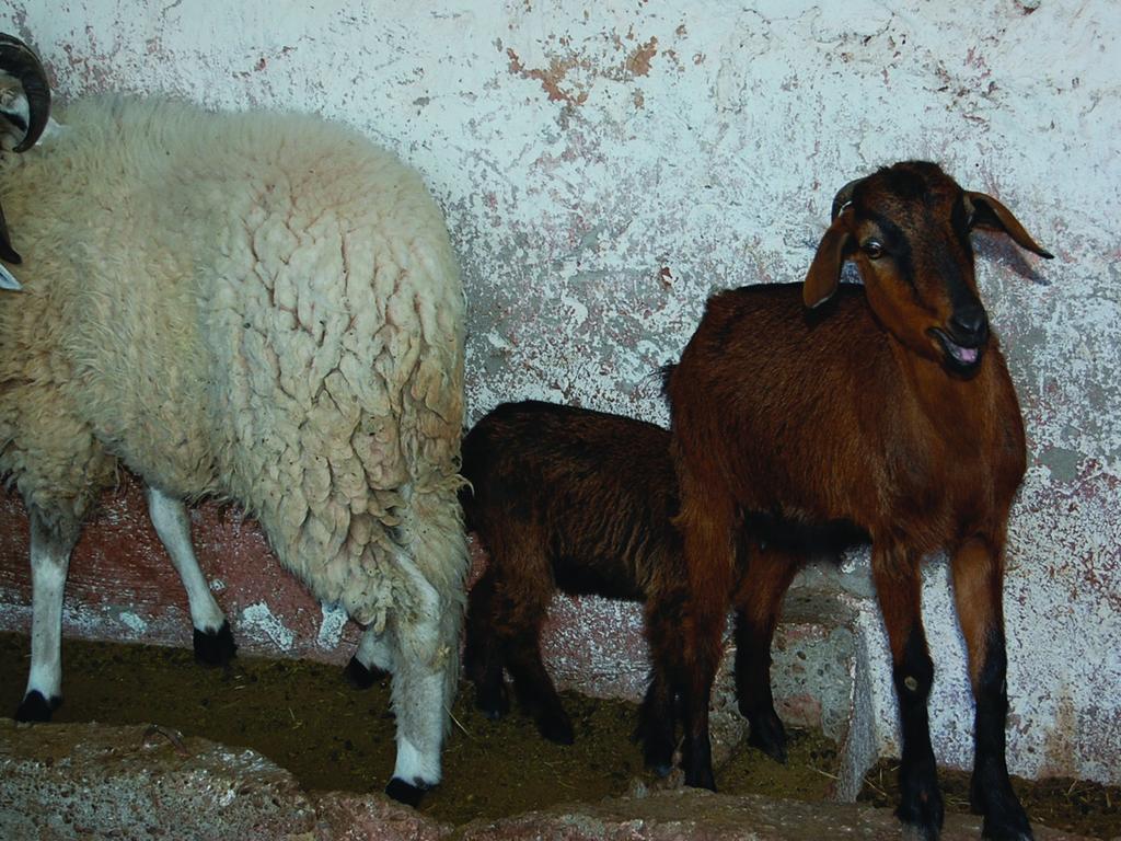 Gite Souss Oulad Teïma Exteriér fotografie