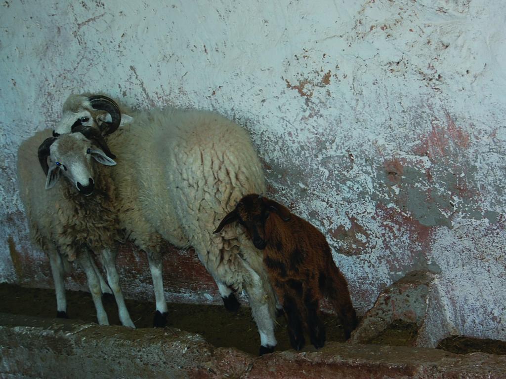 Gite Souss Oulad Teïma Exteriér fotografie