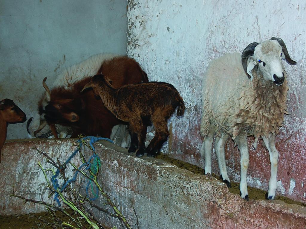 Gite Souss Oulad Teïma Exteriér fotografie